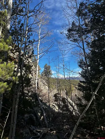 $62,500 | 70 Alamanda Lane, Pitkin, CO 81241