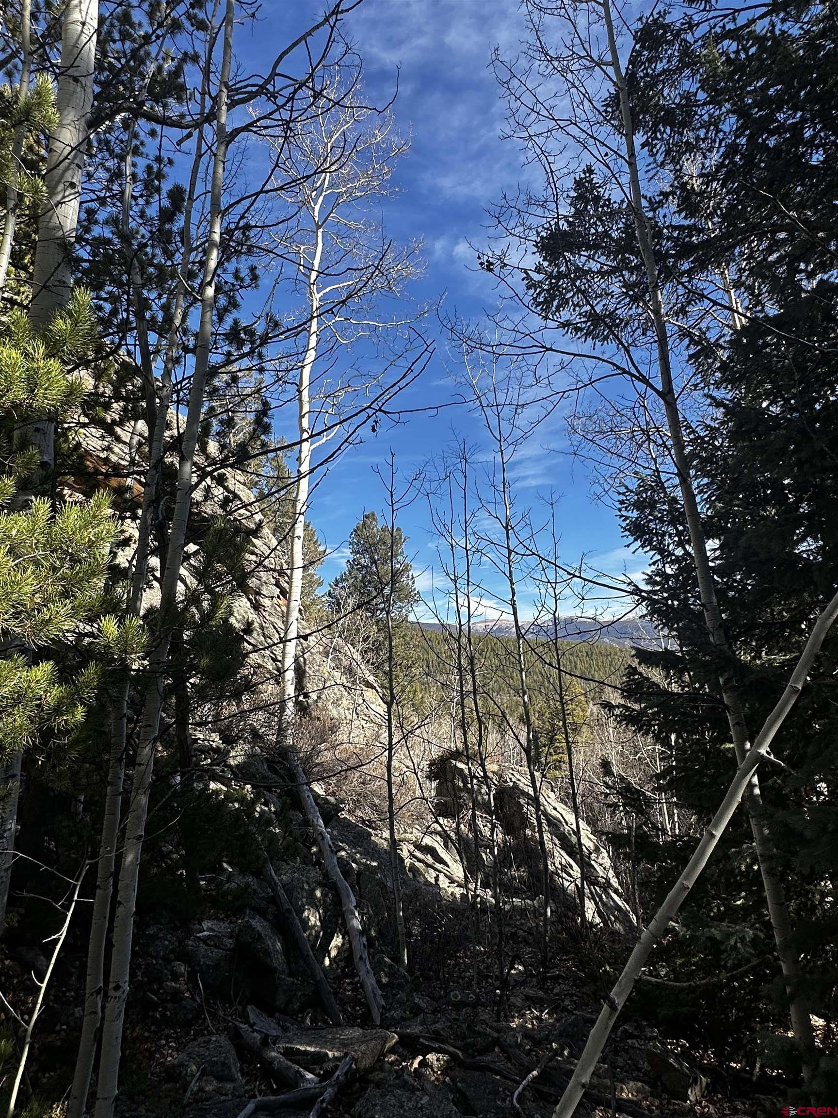 70 Alamanda Lane Pitkin, CO 81241 - Photo 10 of 28