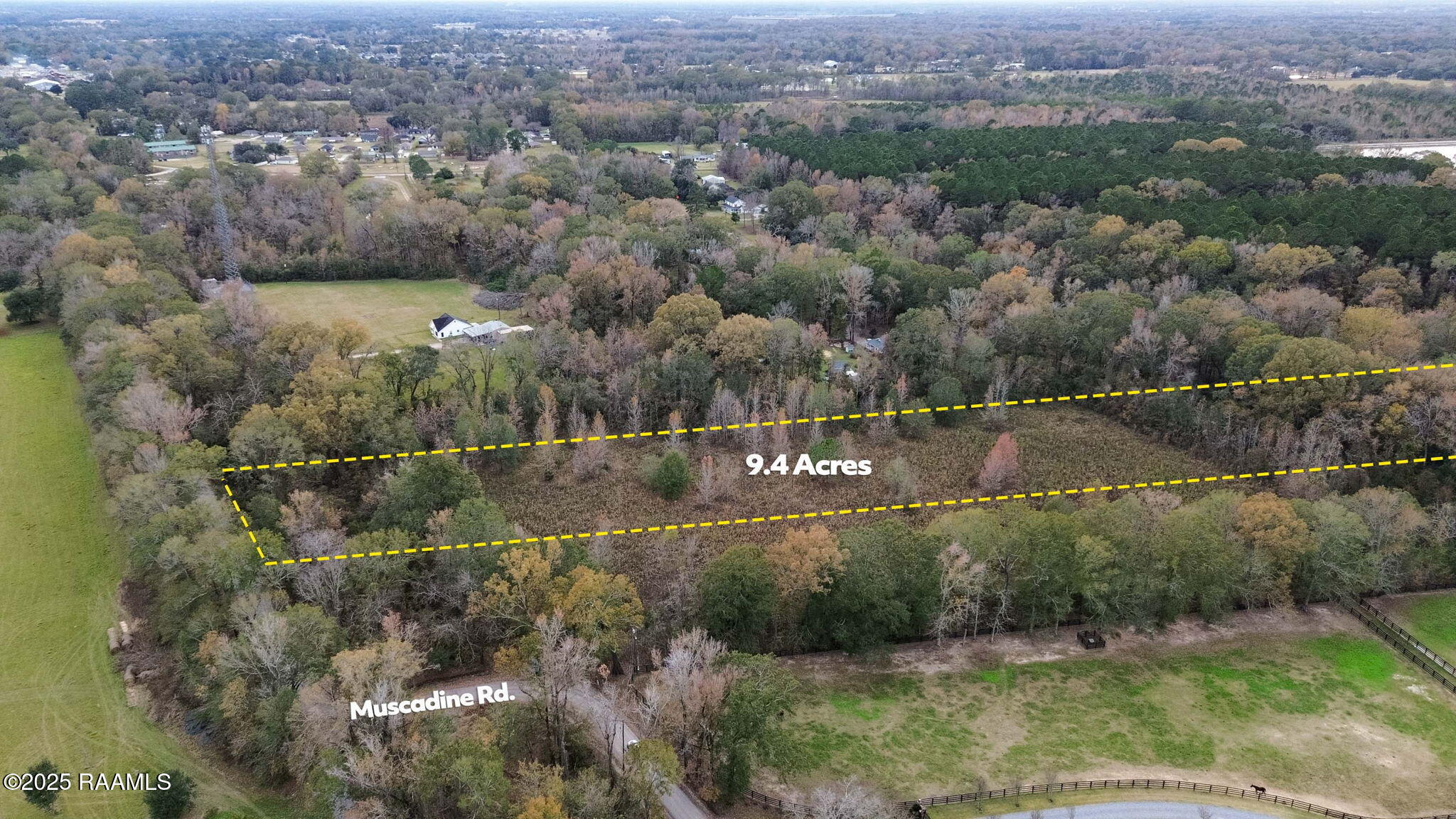 Tbd Muscadine Road Sunset, LA 70584 - Photo 4 of 6 4