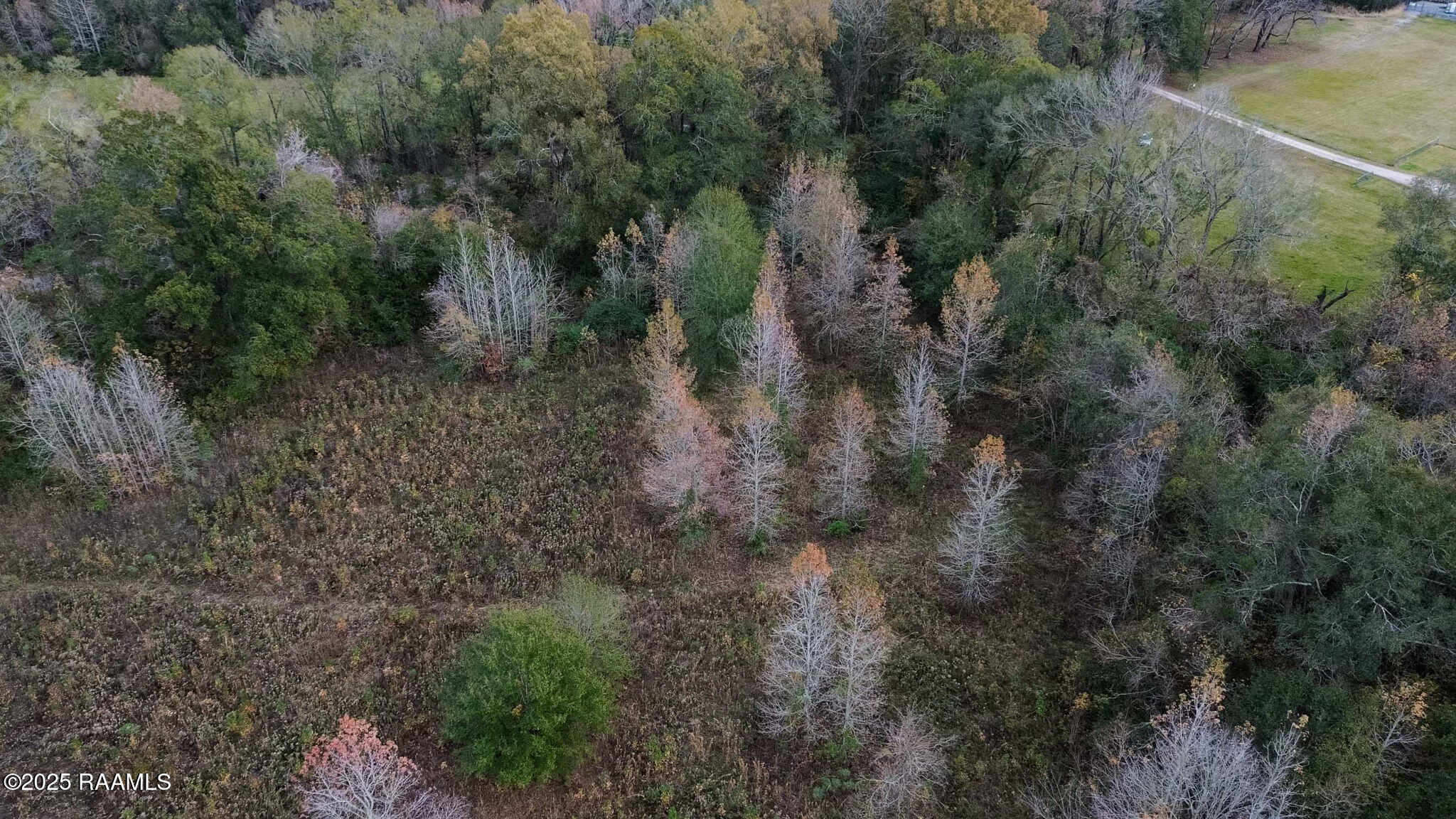 Tbd Muscadine Road Sunset, LA 70584 - Photo 6 of 6 6