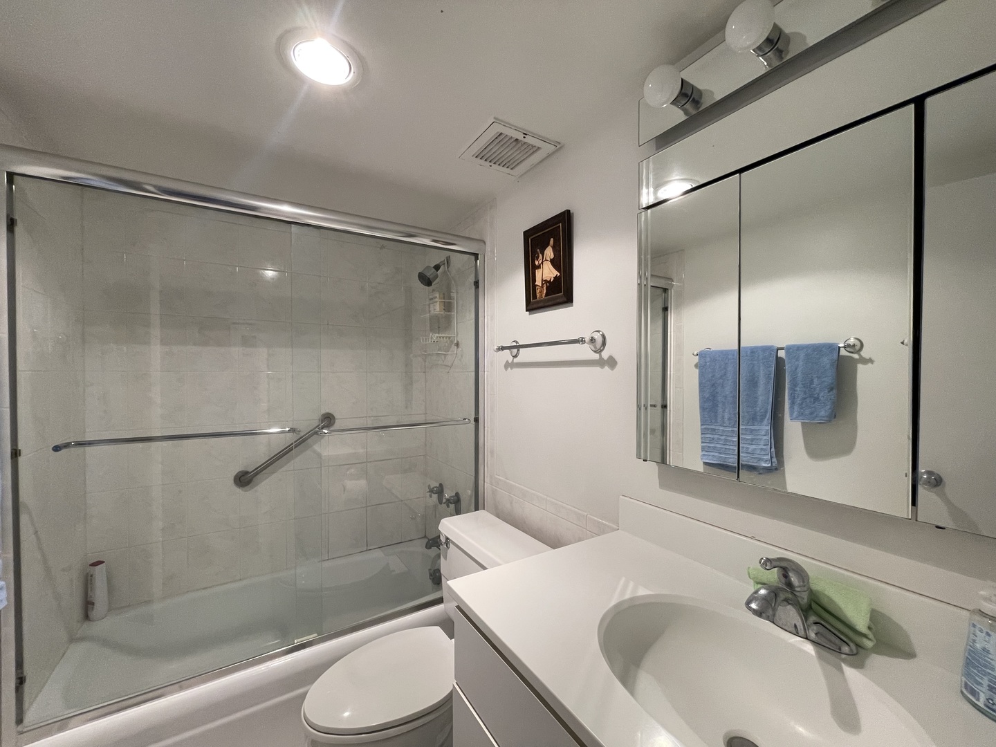 175 East Delaware Place, Unit 5403 Chicago, IL 60611 - Photo 16 of 20 a bathroom with a sink toilet and shower