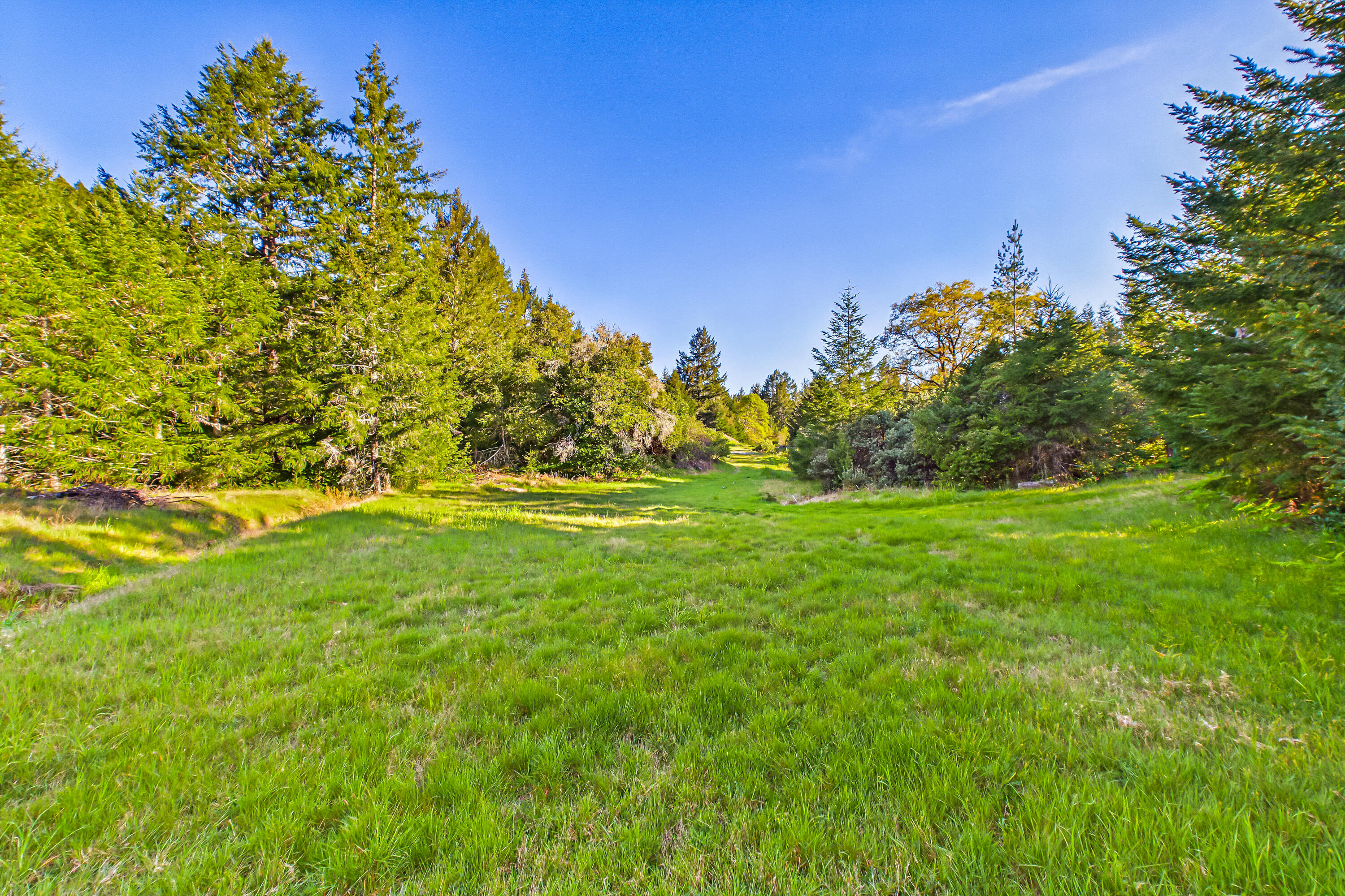12600 Briceland Road Whitethorn, CA 95589 - Photo 107 of 111