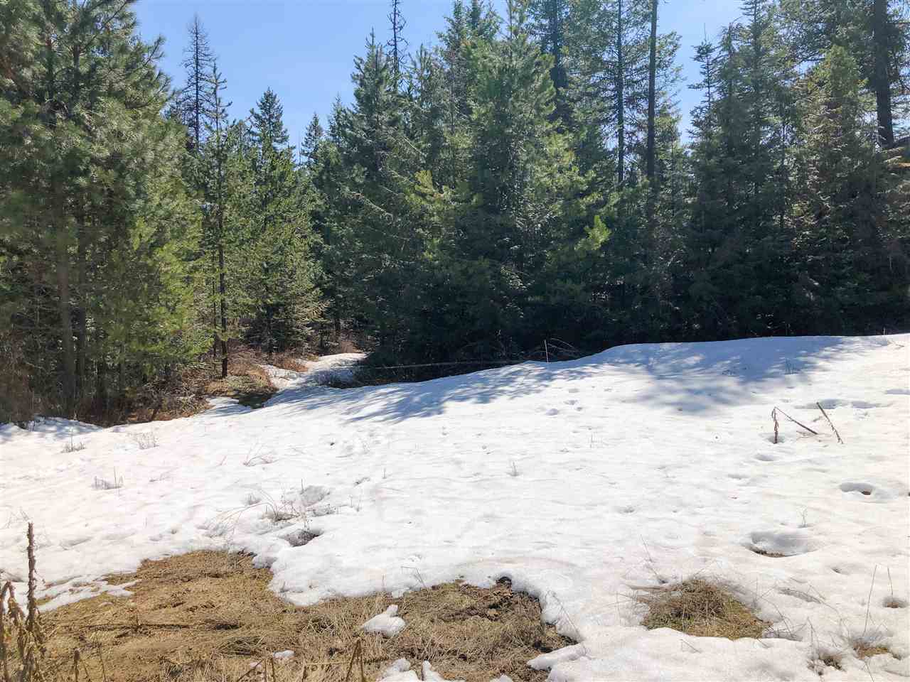 0 Shale Road Newport, WA 99156 - Photo 1 of 19