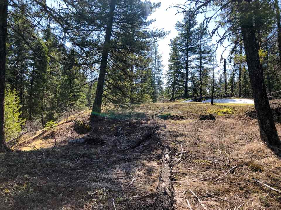 0 Shale Road Newport, WA 99156 - Photo 2 of 19