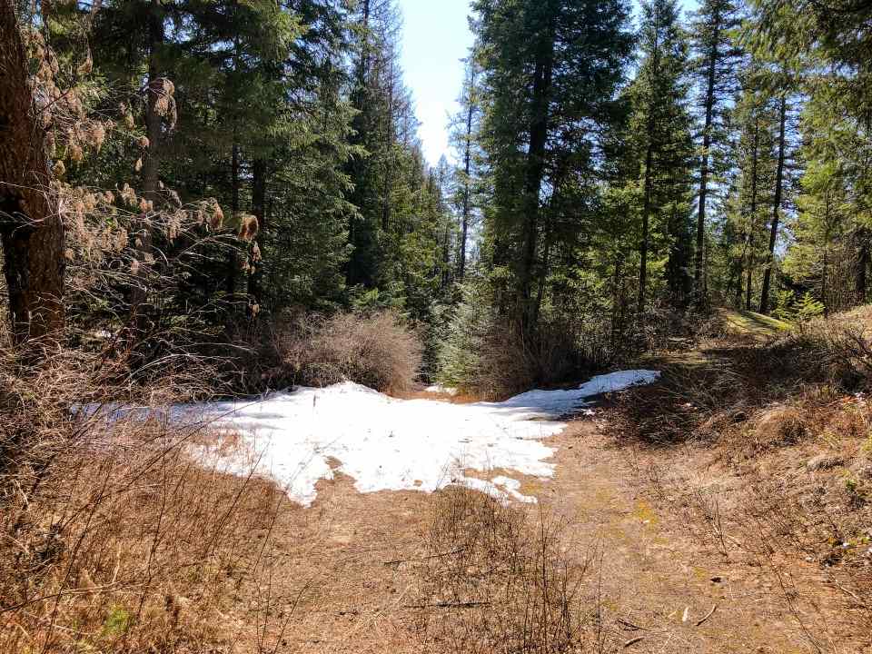 0 Shale Road Newport, WA 99156 - Photo 11 of 19
