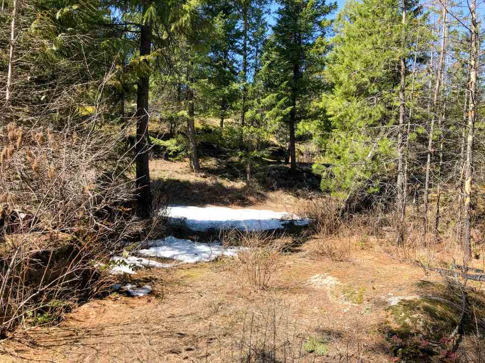 0 Shale Road Newport, WA 99156 - Photo 12 of 19