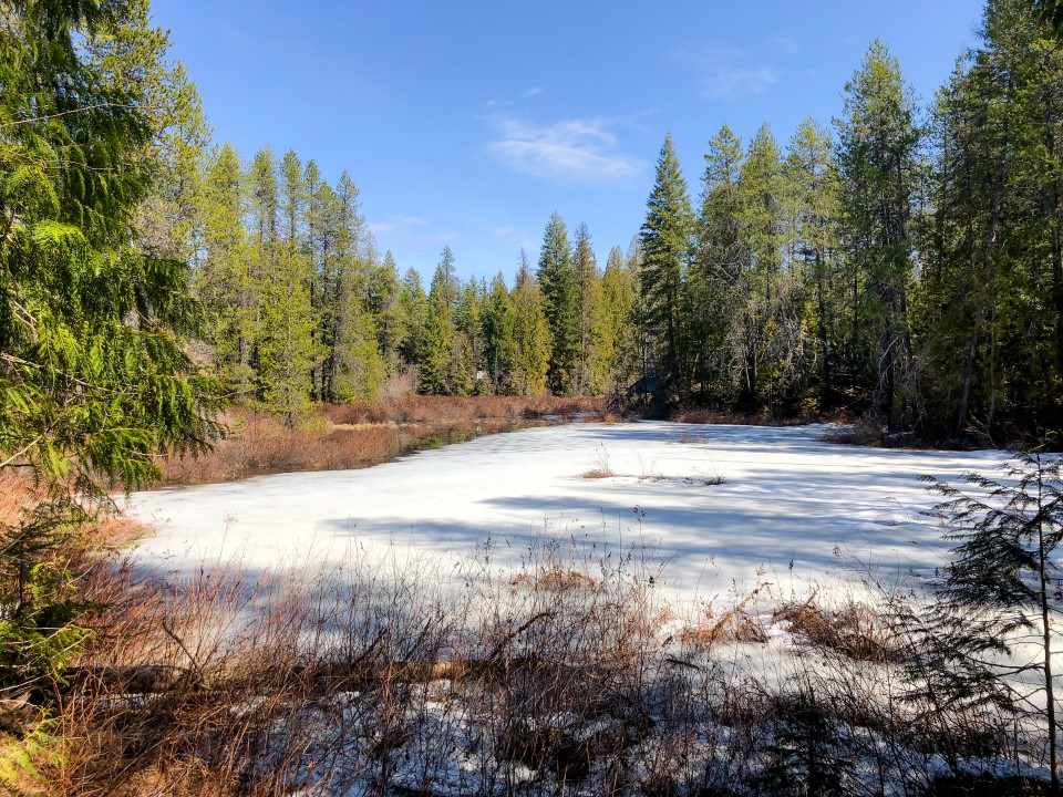 0 Shale Road Newport, WA 99156 - Photo 15 of 19