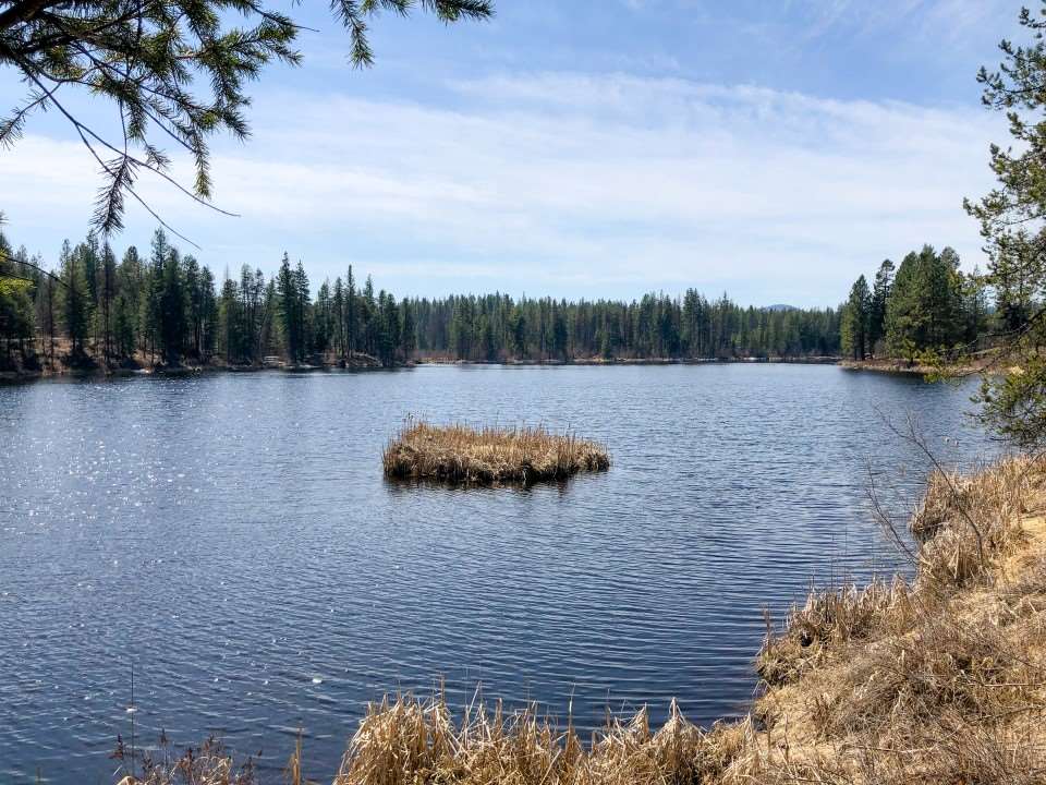 0 Shale Road Newport, WA 99156 - Photo 17 of 19