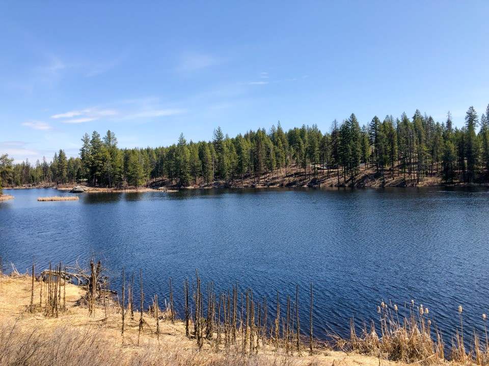 0 Shale Road Newport, WA 99156 - Photo 18 of 19