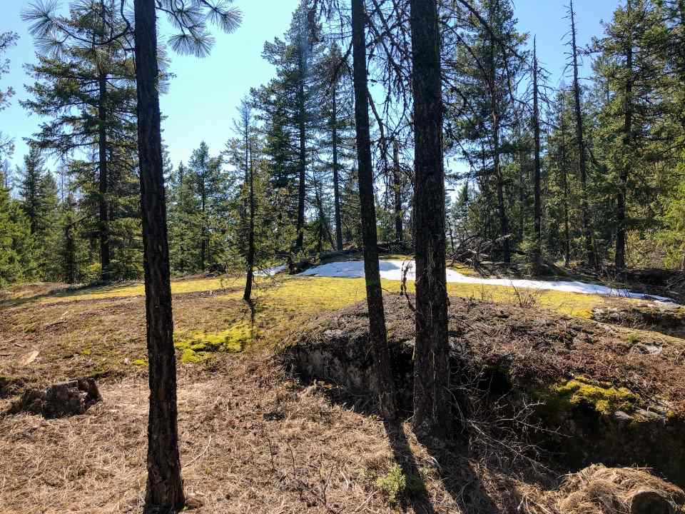 0 Shale Road Newport, WA 99156 - Photo 3 of 19