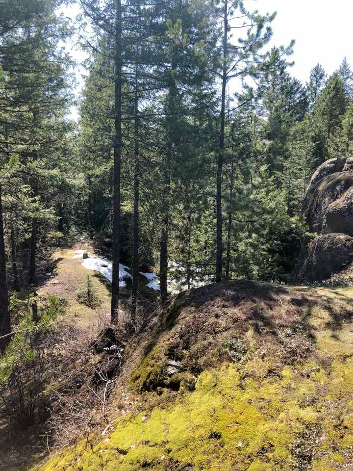 0 Shale Road Newport, WA 99156 - Photo 4 of 19