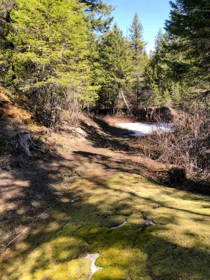 0 Shale Road Newport, WA 99156 - Photo 7 of 19
