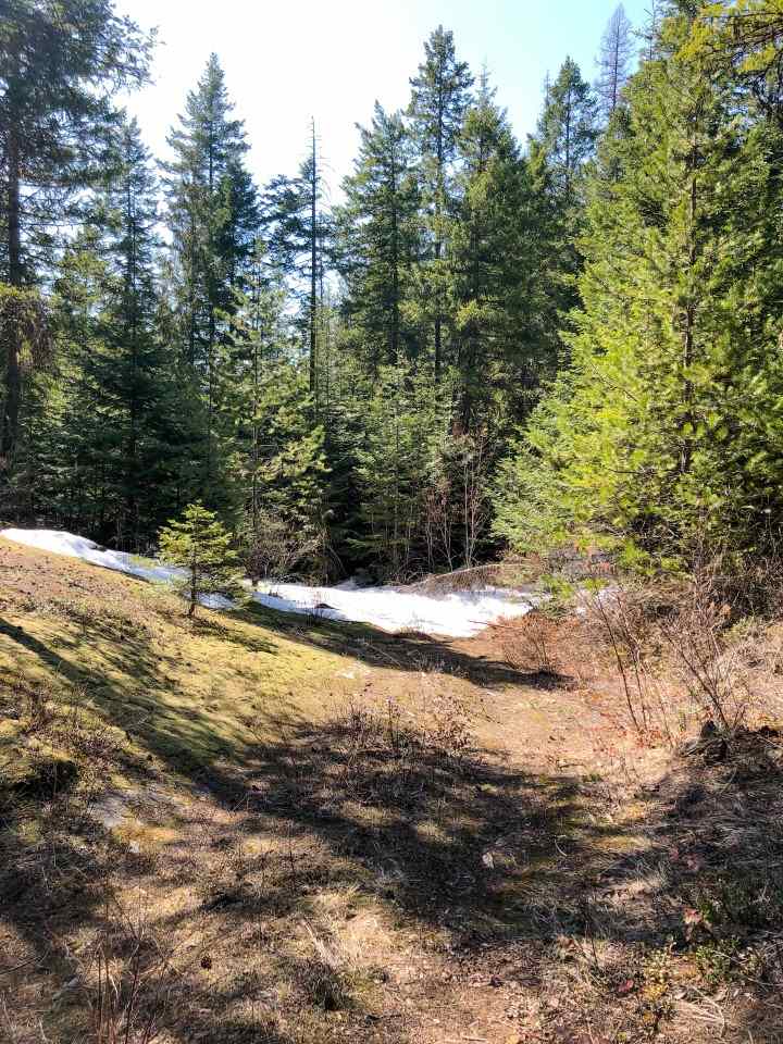 0 Shale Road Newport, WA 99156 - Photo 8 of 19
