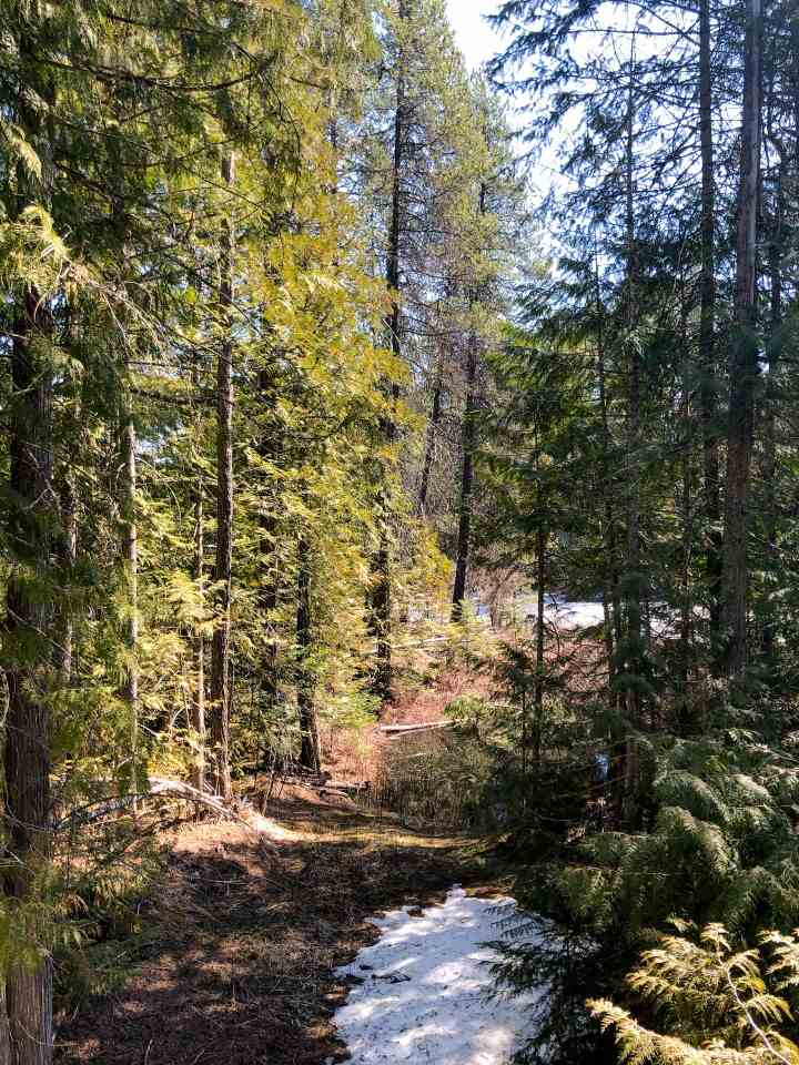 0 Shale Road Newport, WA 99156 - Photo 9 of 19