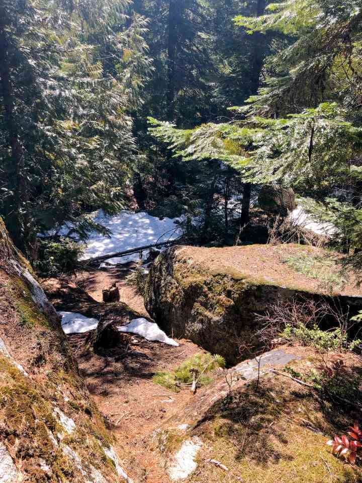 0 Shale Road Newport, WA 99156 - Photo 10 of 19
