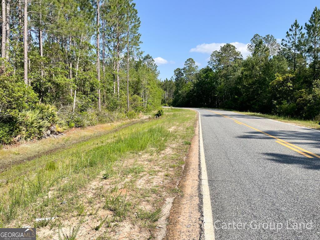 2 Mt Pleasant Road Hortense, GA 31543 - Photo 1 of 1 Main View