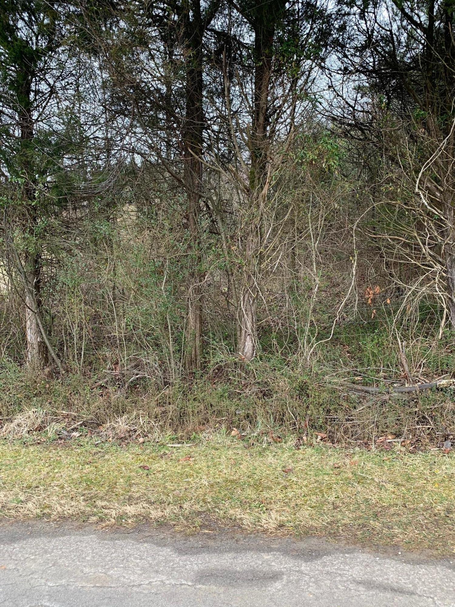 Lot 13 Brantley Acres Road Speedwell, TN 37870 - Photo 3 of 9 IMG_7441