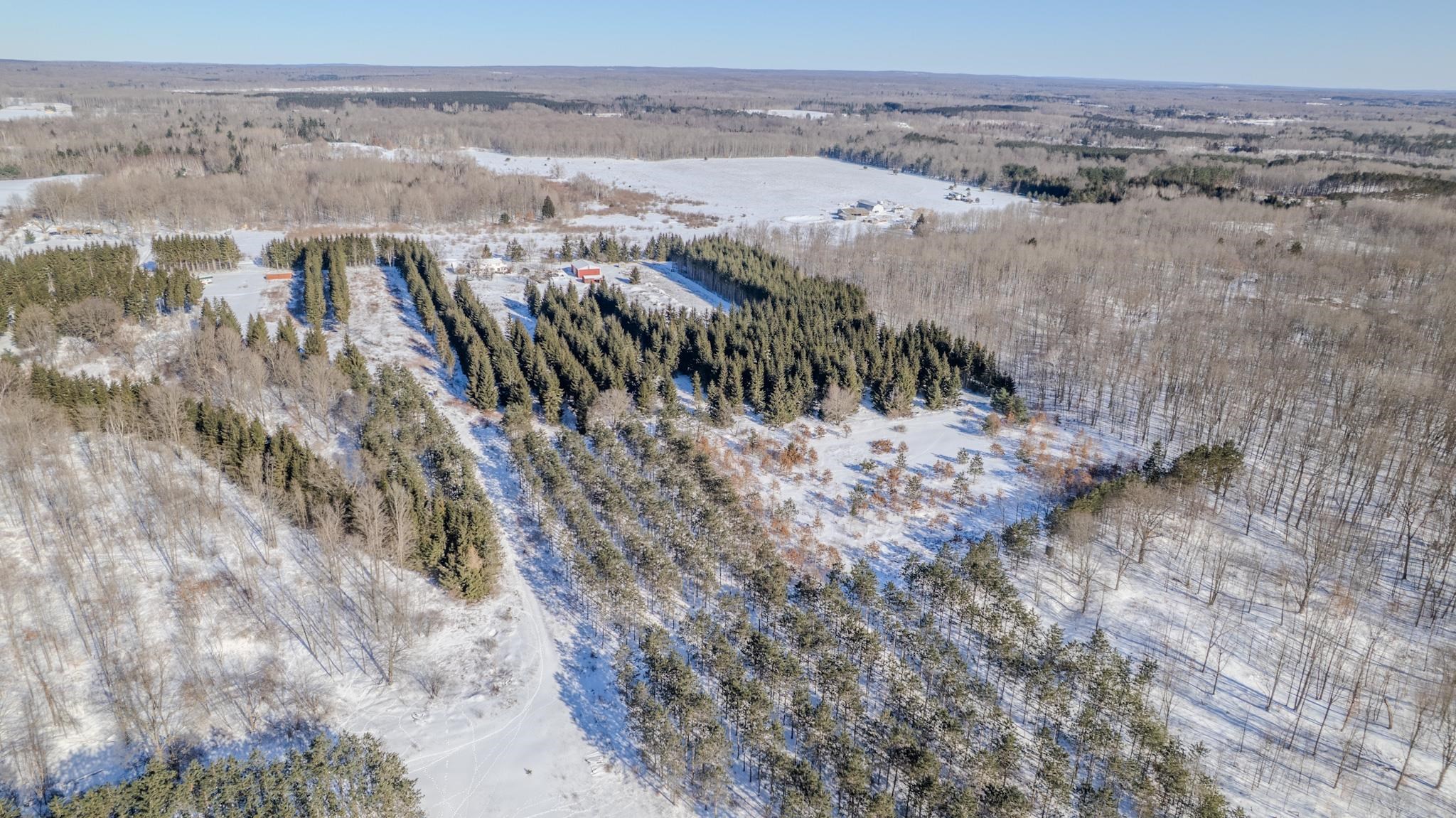 8178 East Stockwell Road Harrison, MI 48625 - Photo 84 of 89