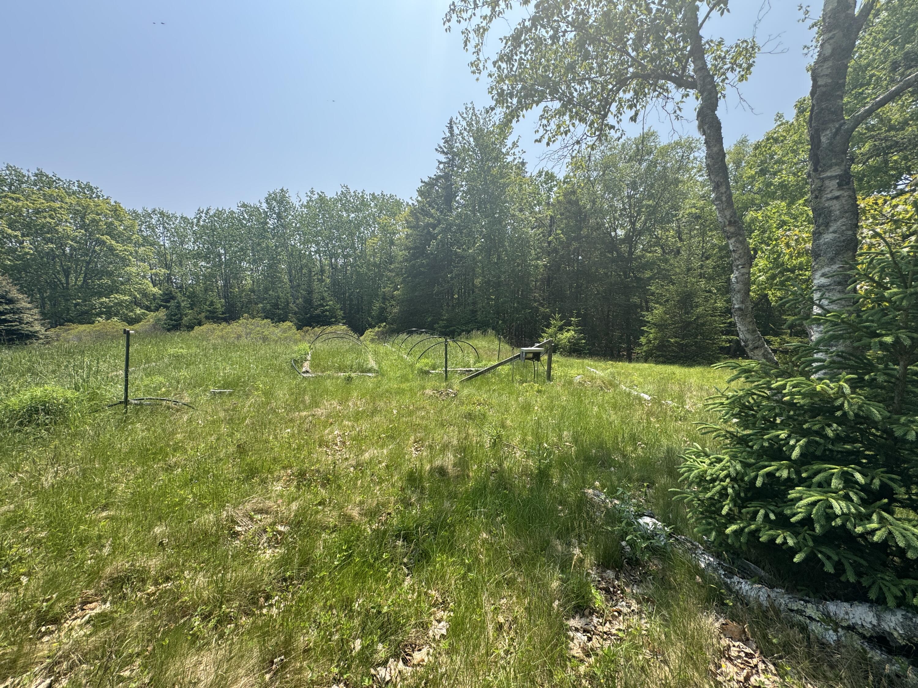 36 Wiegand Place Deer Isle, ME 04650 - Photo 23 of 100 IMG_5965