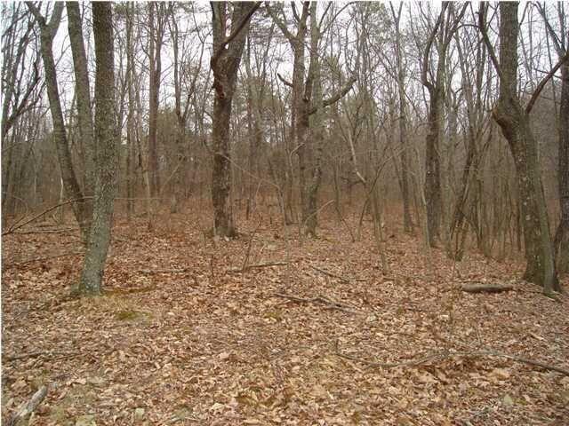 0 Healing Springs Road, Unit 92 Chattanooga, TN 37419 - Photo 1 of 1 lot 92