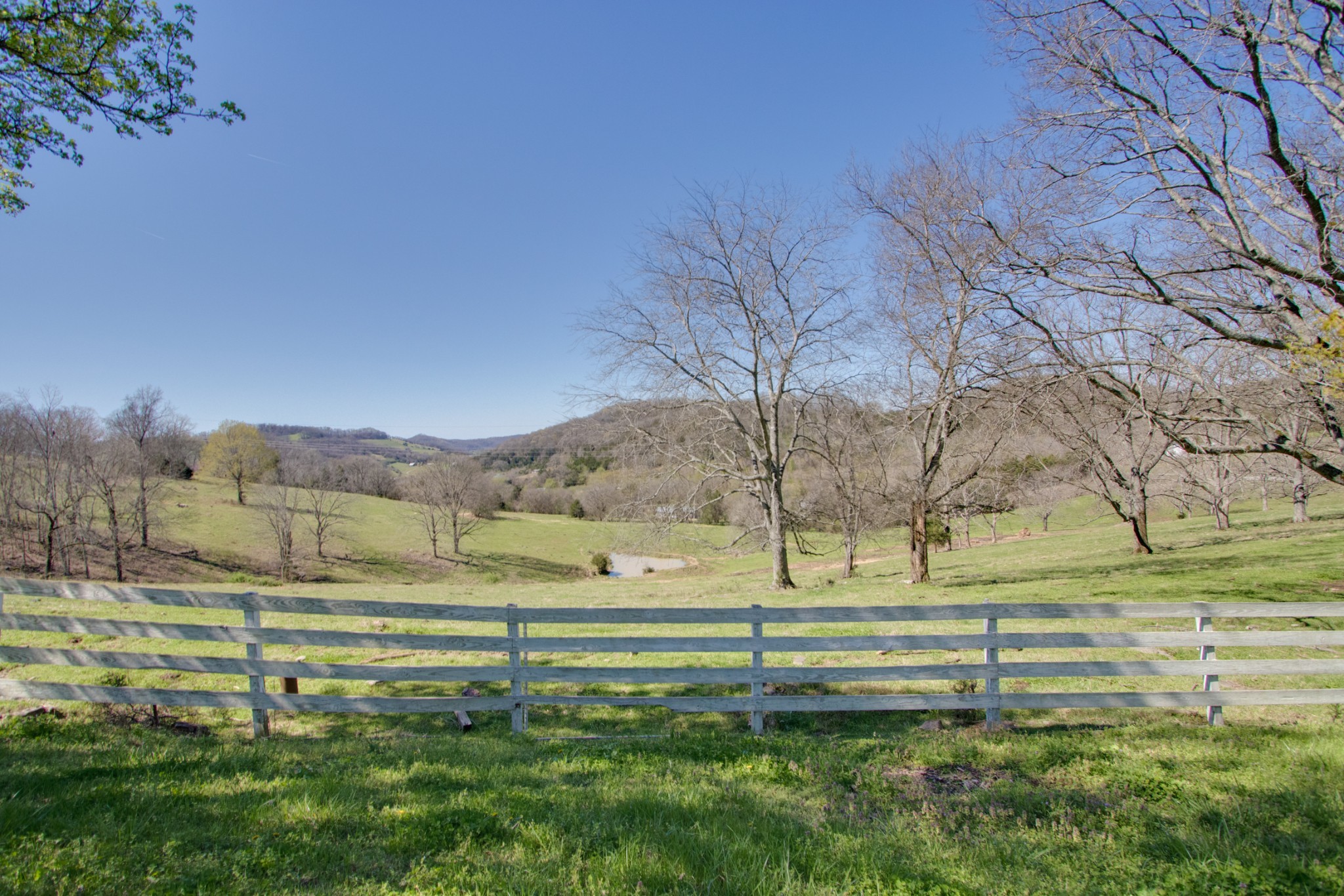 0 Sullivan Bend Road Elmwood, TN 38560 - Photo 3 of 12
