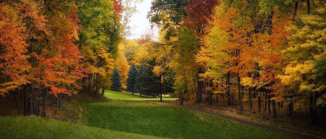 6095 Deerfield Road Canadian Lakes, MI 49346 - Photo 25 of 26 fall golf course