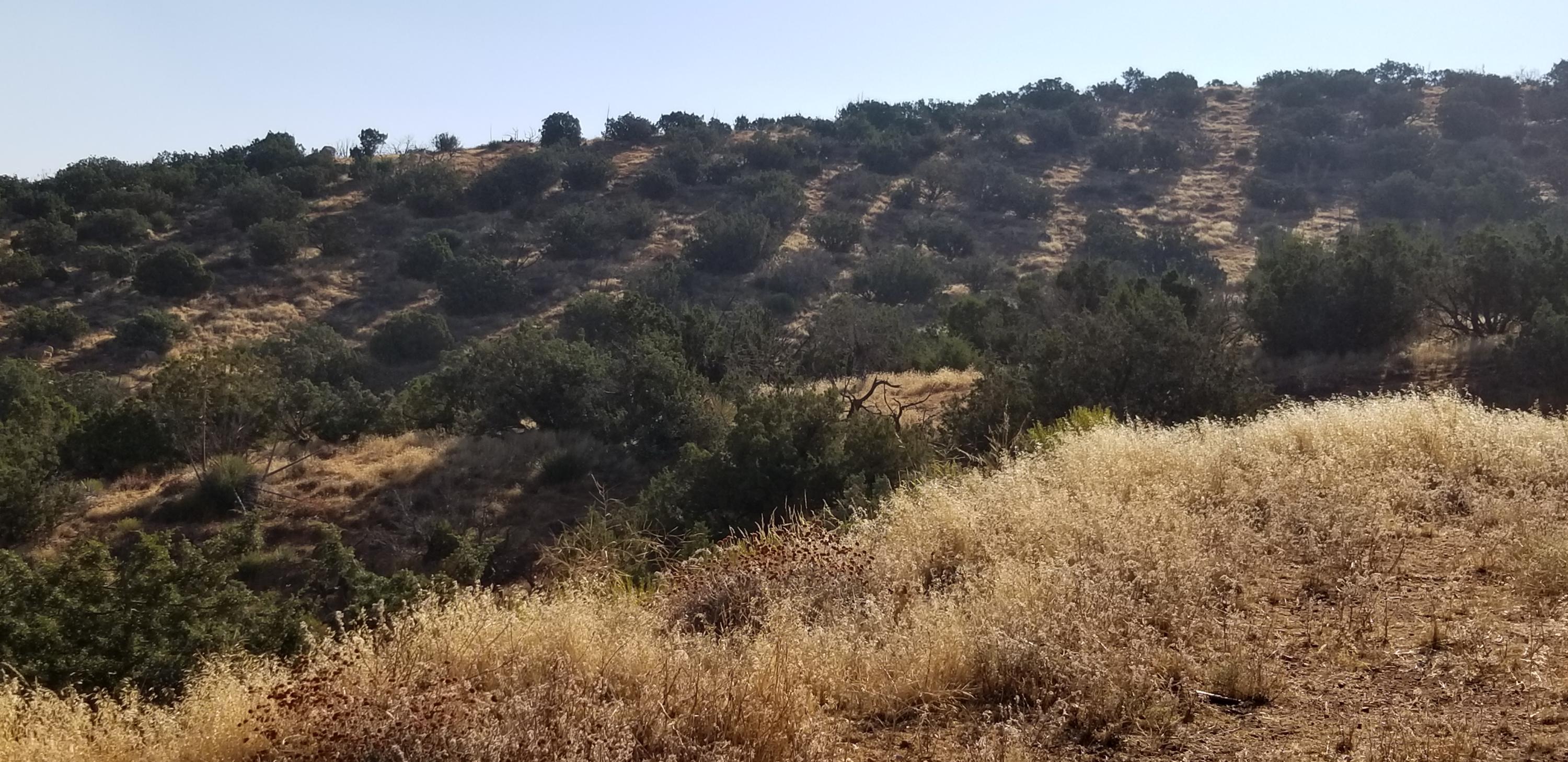 Harbat Road Acton, CA 93510 - Photo 3 of 8 20201002_091359