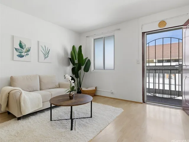 a living room with furniture a potted plant and a window