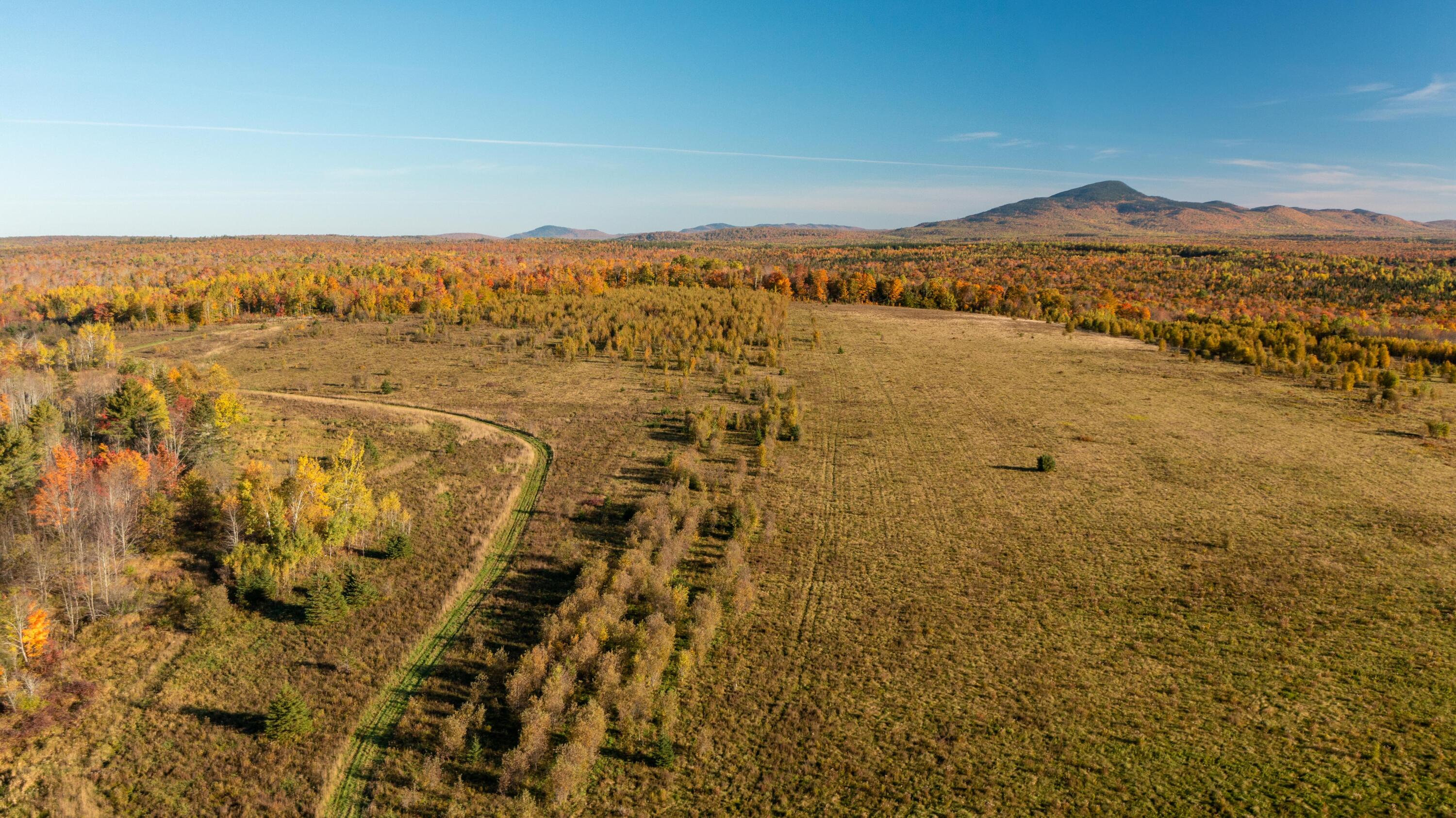 Lot 5 Barleyville Road Patten, ME 04765 - Photo 2 of 45 Fields, Forest, & Acreage...