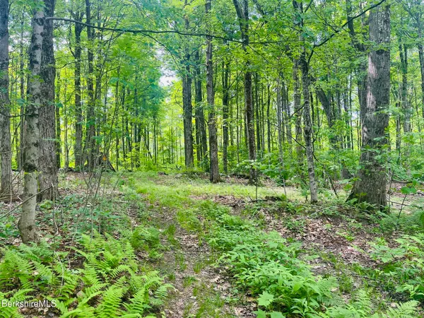 $65,000 | Lot 0 Greylock Estates Road, Lanesborough, MA 01237