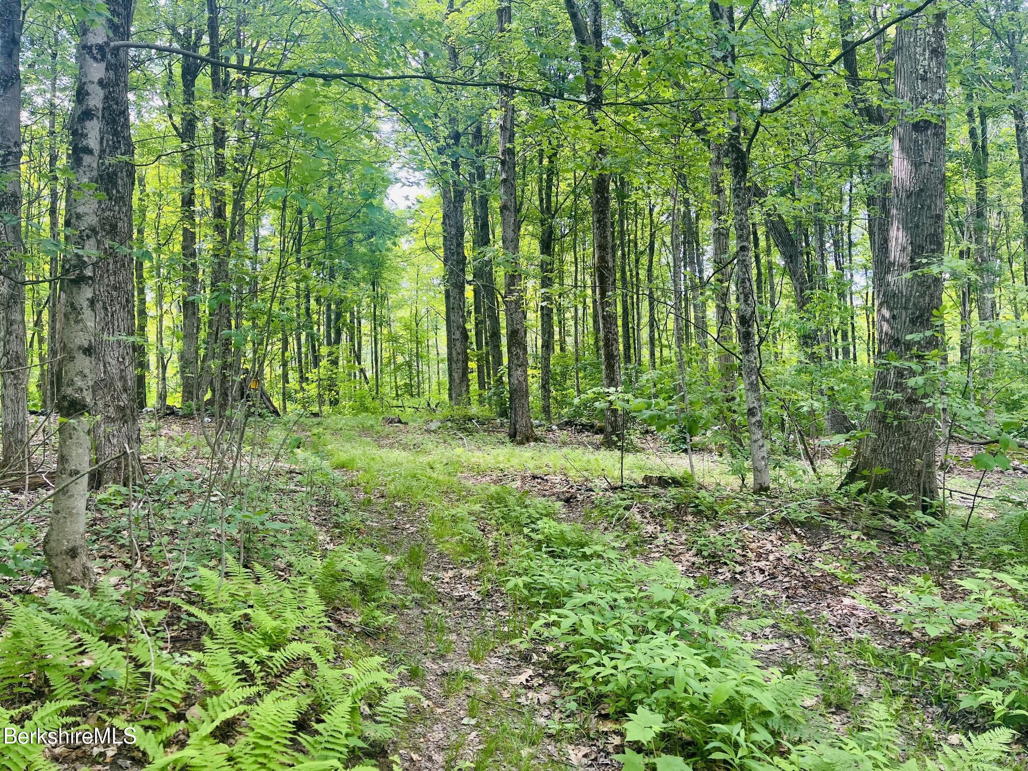 Lot 0 Greylock Estates Road Lanesborough, MA 01237 - Photo 1 of 5 Primary