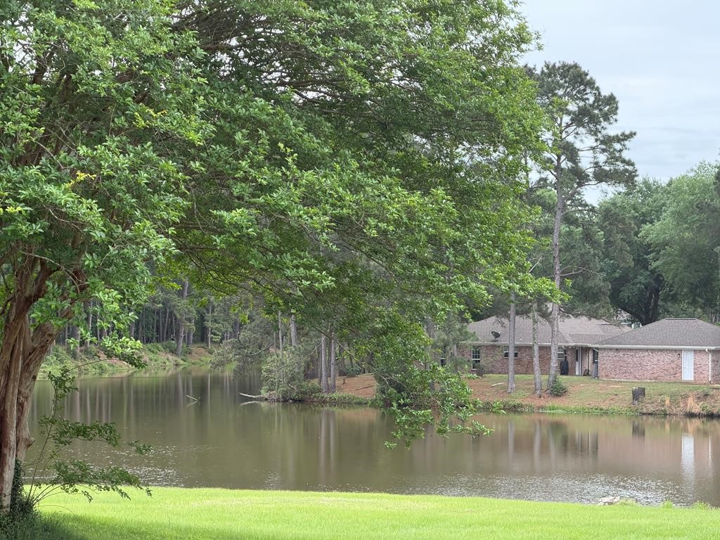 86 Whippoorwill Lane Trinity, TX 75862 - Photo 11 of 47 a view of a house with a yard and a fountain