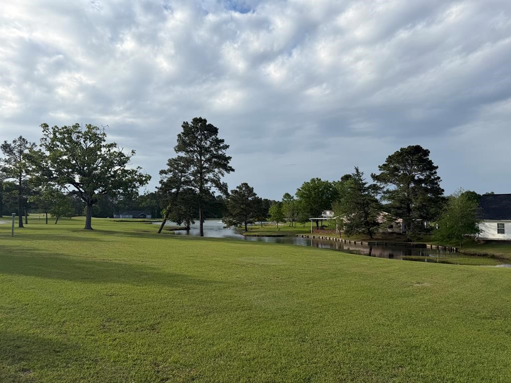 86 Whippoorwill Lane Trinity, TX 75862 - Photo 15 of 47 a view of a golf course with a lake
