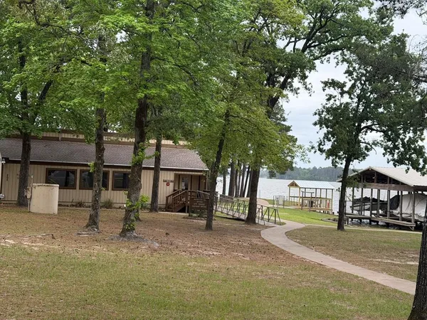 a view of a park with large trees
