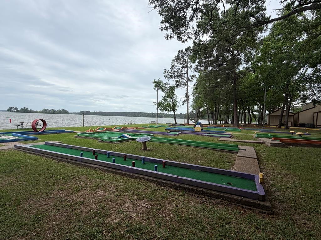 86 Whippoorwill Lane Trinity, TX 75862 - Photo 29 of 47 a view of a park with large trees