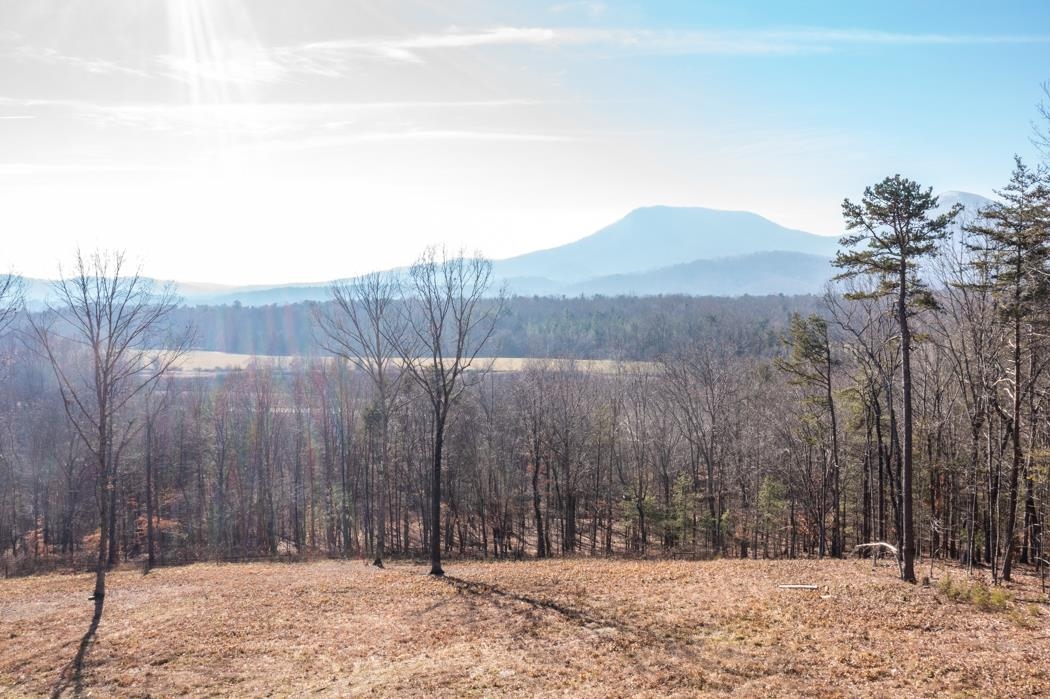 Tbd Saddlebrook Road Lexington, VA 24450 - Photo 1 of 26 Gallery Image 1