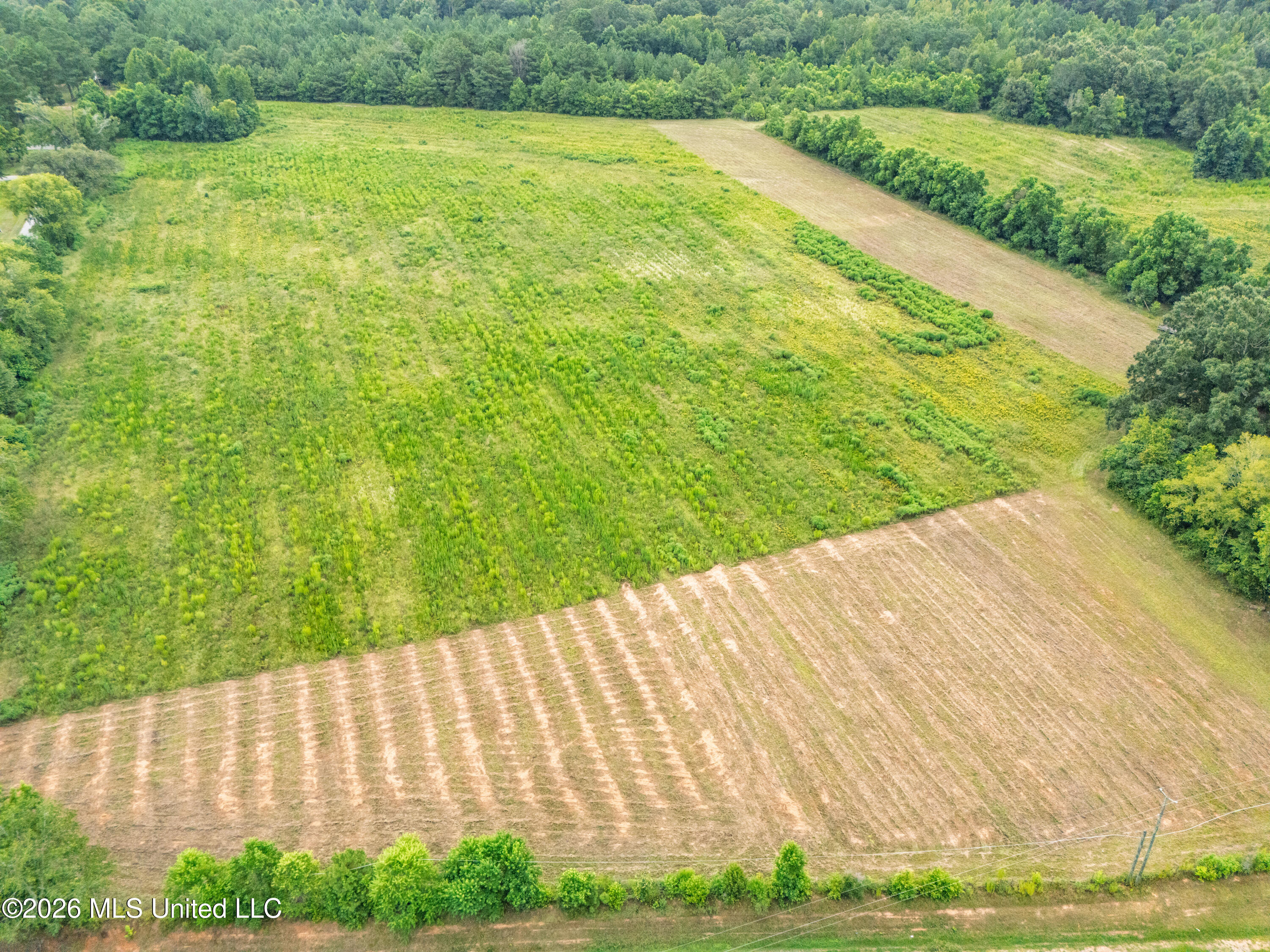 Spring Street Taylorsville, MS 39168 - Photo 56 of 57 DJI_20260729111612_0164_D