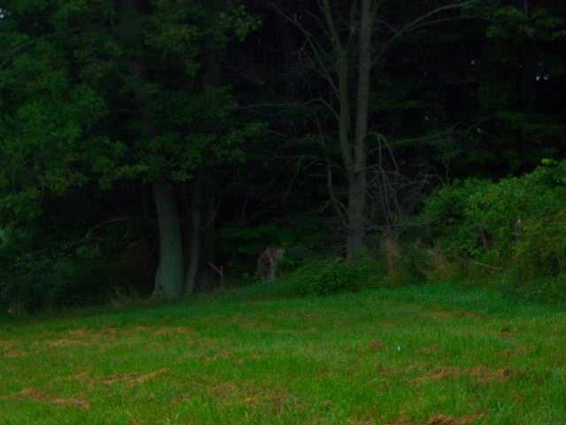 0 Lutheran Church Road Southeast Lancaster, OH 43130 - Photo 4 of 6