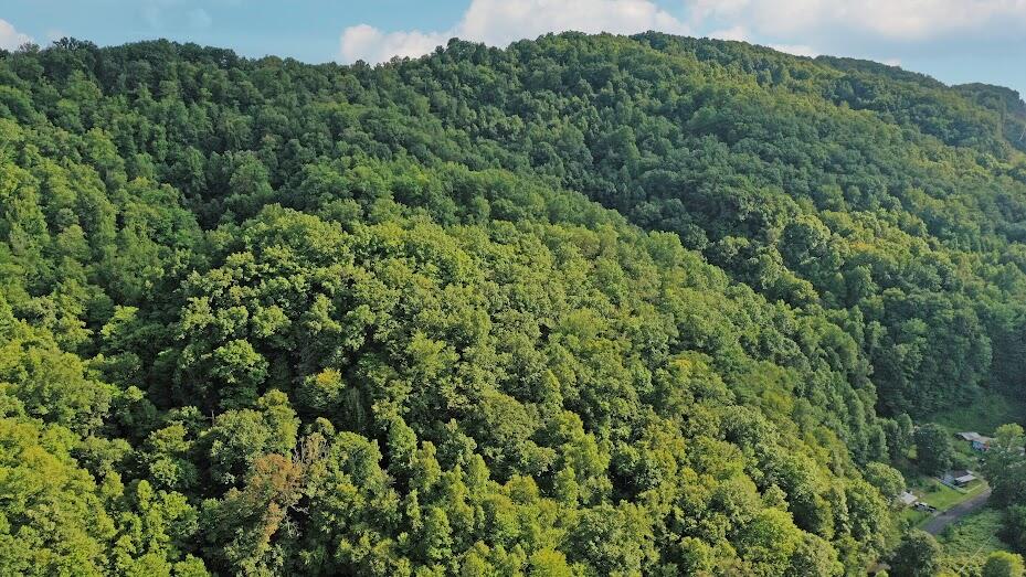Tbd Left Poor Valley Road Pennington Gap, VA 24277 - Photo 2 of 10 AERIAL PHOTO 1 SHOWING TERRAIN