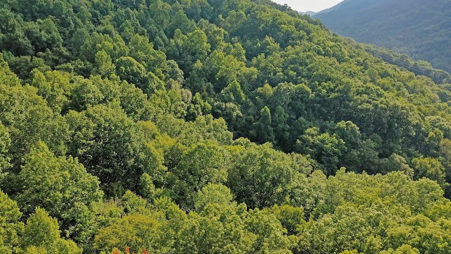 Tbd Left Poor Valley Road Pennington Gap, VA 24277 - Photo 4 of 10 AERIAL PHOTO SHOWING MOUNTAIN VIEWS
