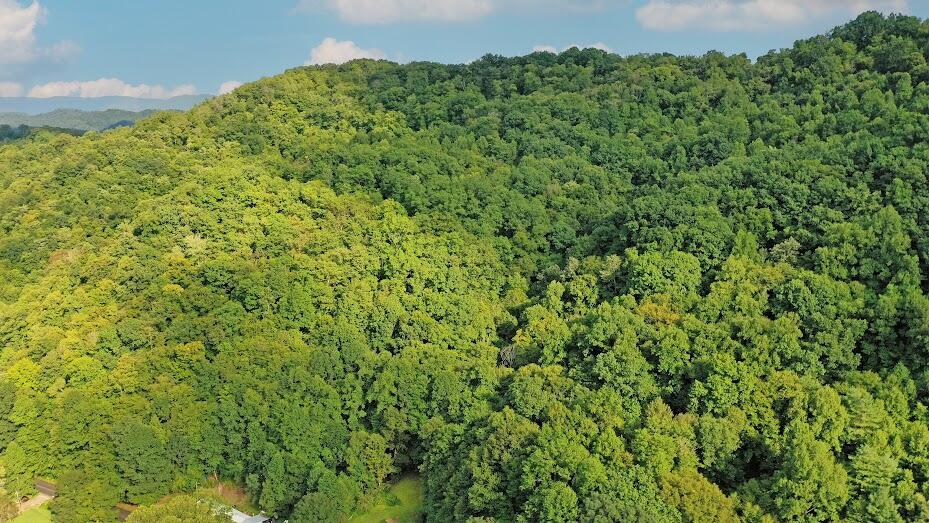 Tbd Left Poor Valley Road Pennington Gap, VA 24277 - Photo 6 of 10 AERIAL PHOTO SHOWING TERRAIN FROM NORTHW