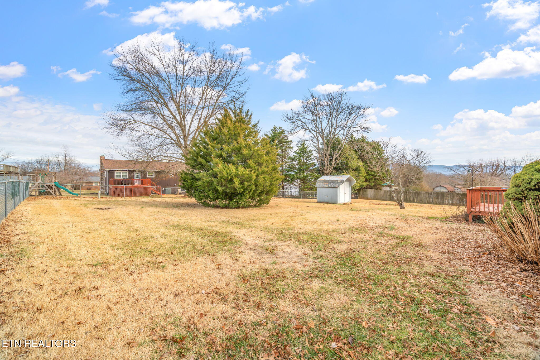 263 Mohawk Circle Seymour, TN 37865 - Photo 33 of 41 Back Yard.