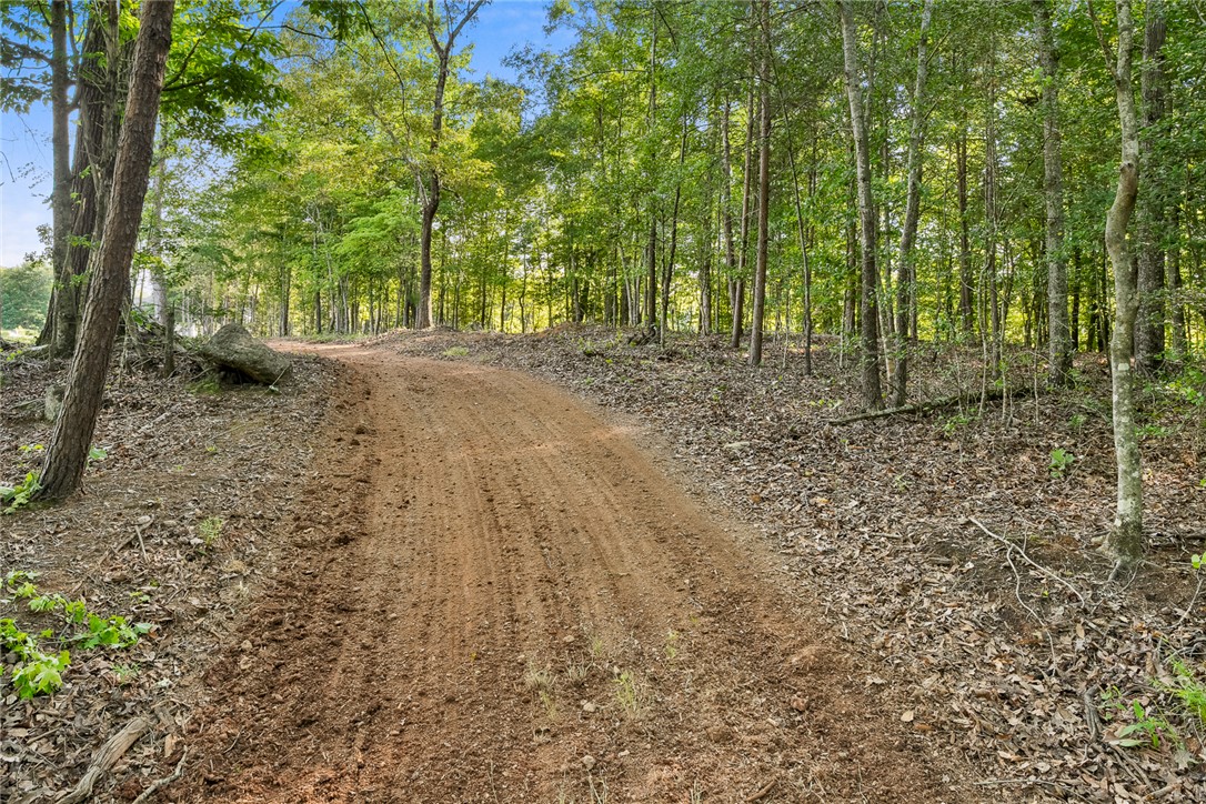 75 Hidden Acres Trail Pelzer, SC 29669 - Photo 8 of 32
