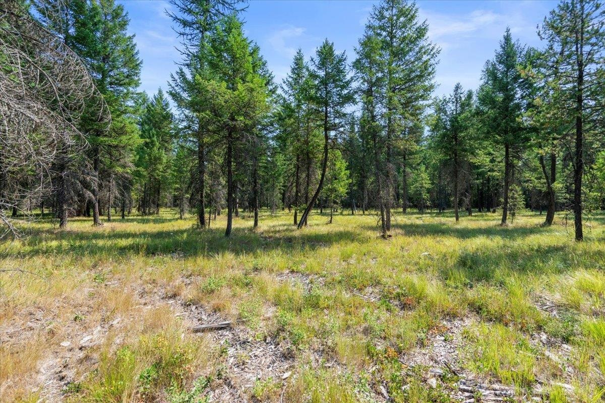 311 Bigfoot Road Newport, WA 99156 - Photo 16 of 22