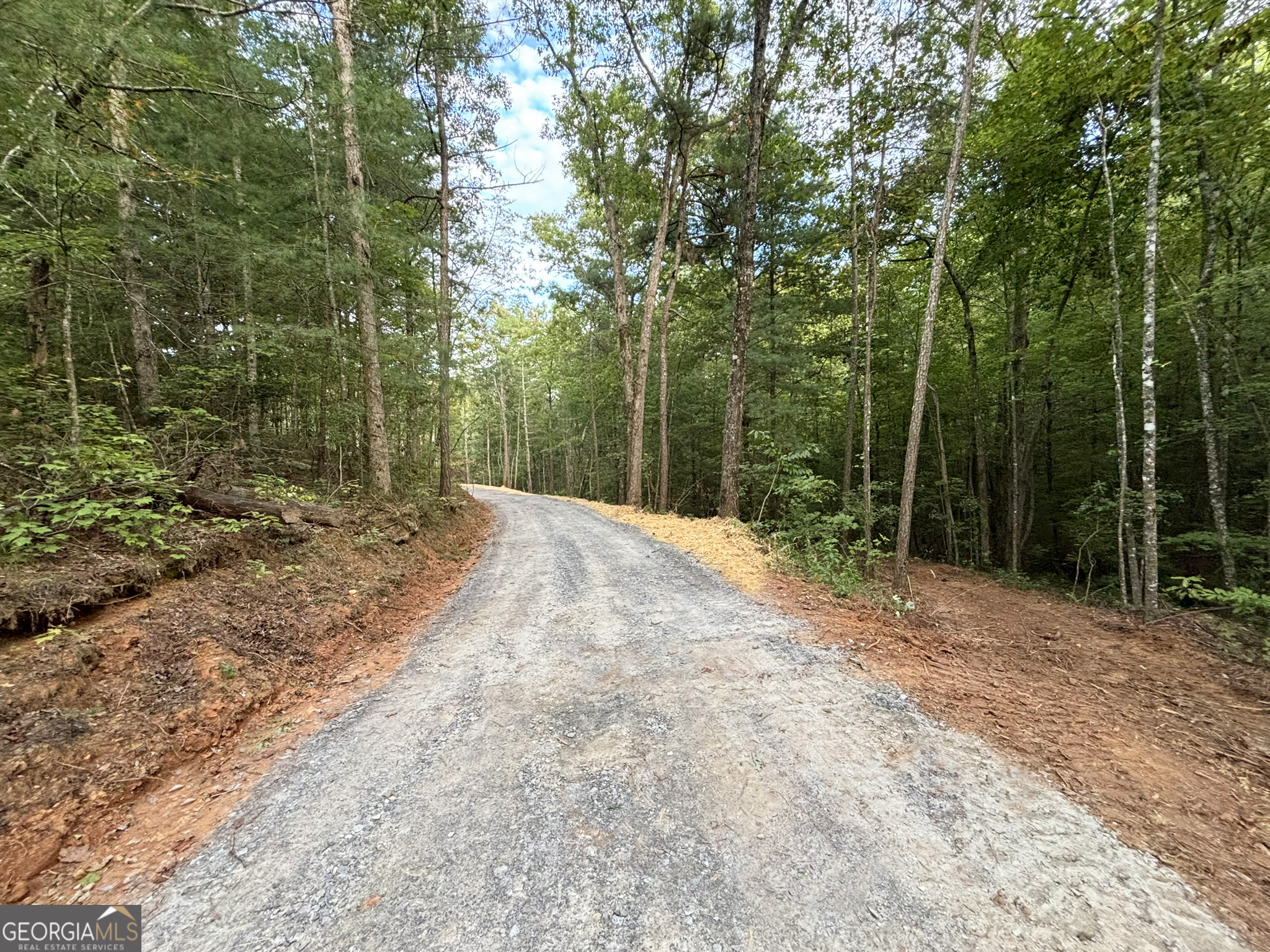 396 Mt Springer Road Ellijay, GA 30540 - Photo 27 of 50