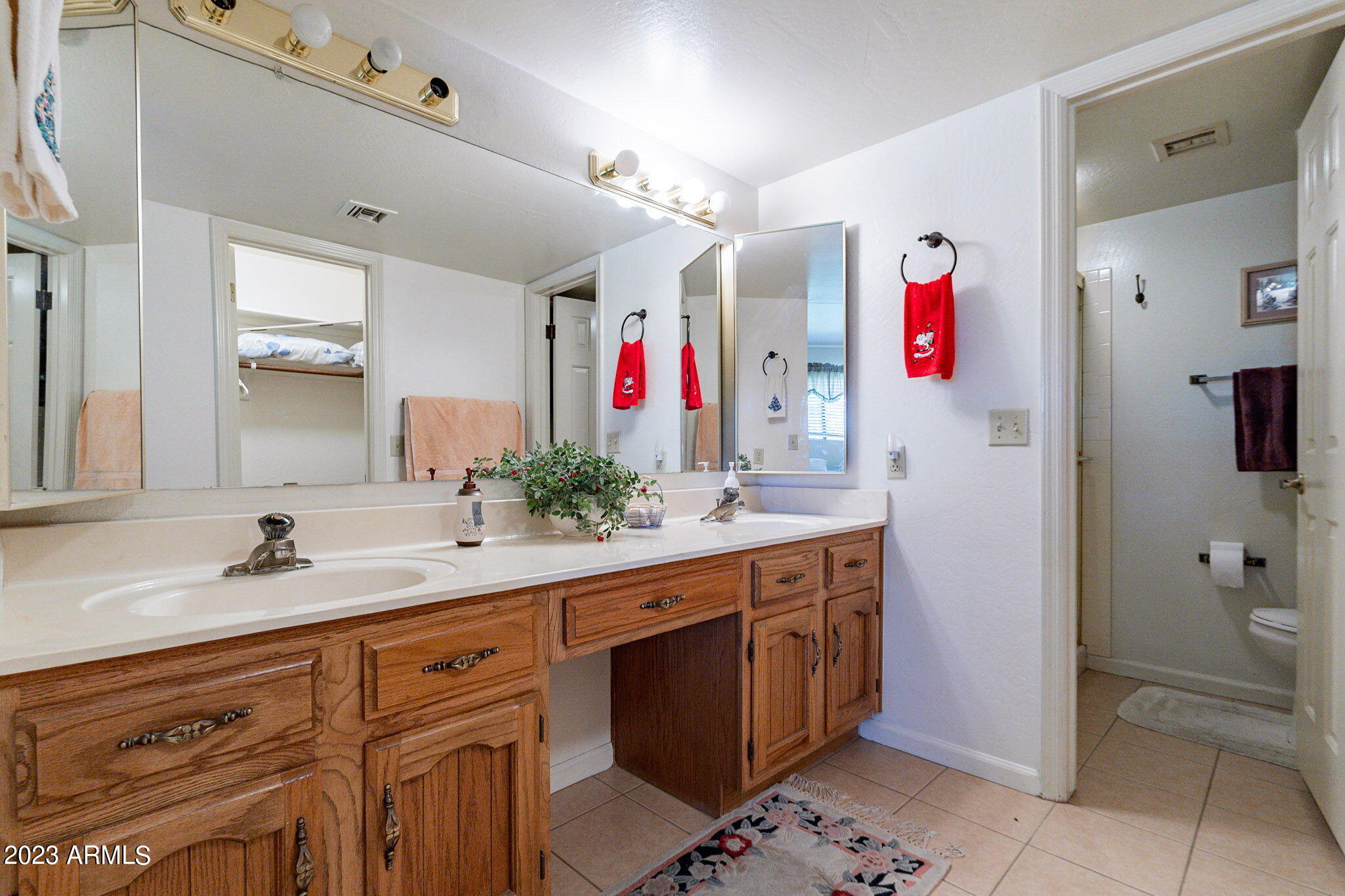 7129 East Broadway Road, Unit 68 Mesa, AZ 85208 - Photo 17 of 29 Master Bath