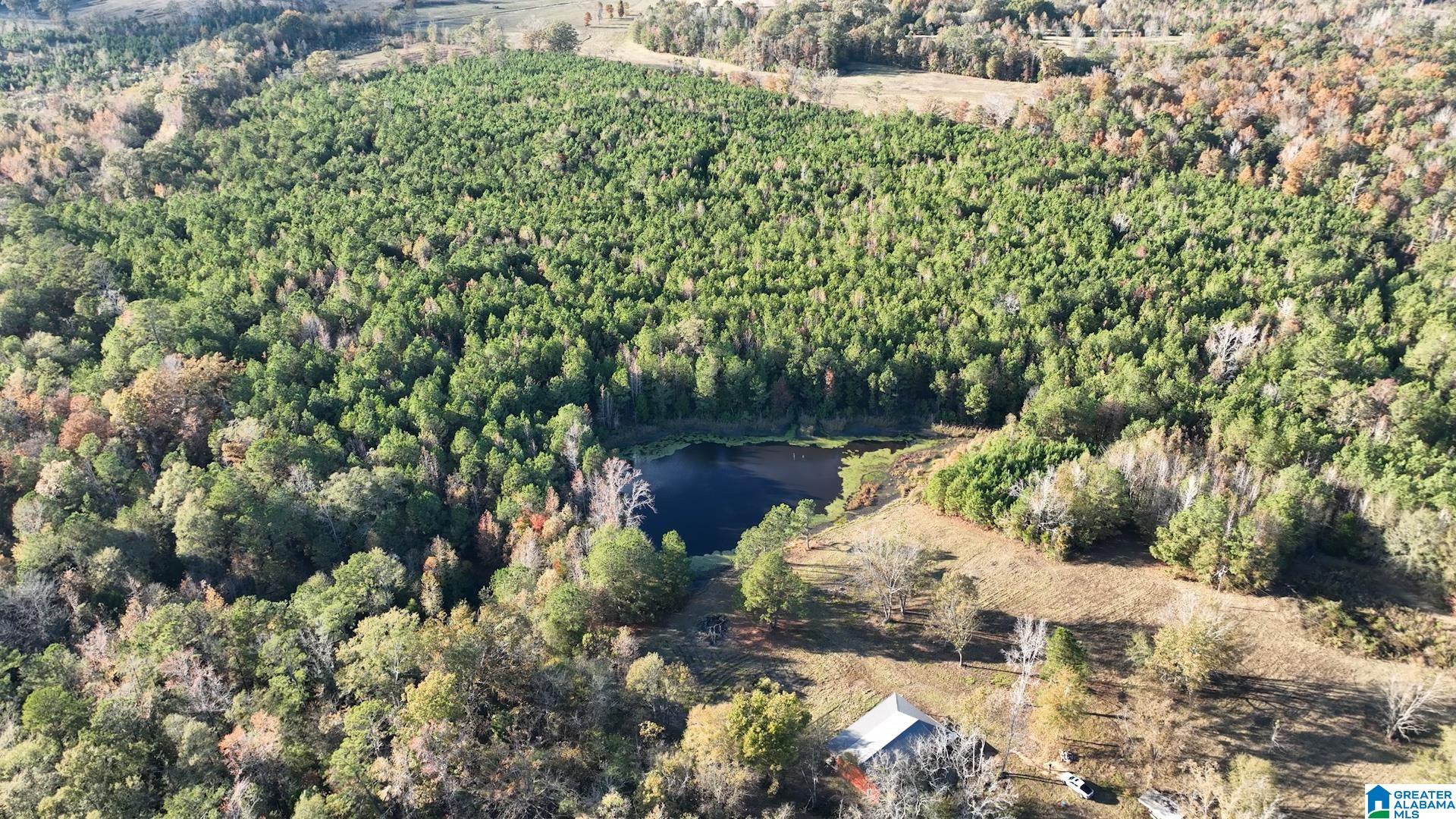 3294 Brady Road, Unit 24 ACRES Letohatchee, AL 36047 - Photo 6 of 44 Gallery Image 6
