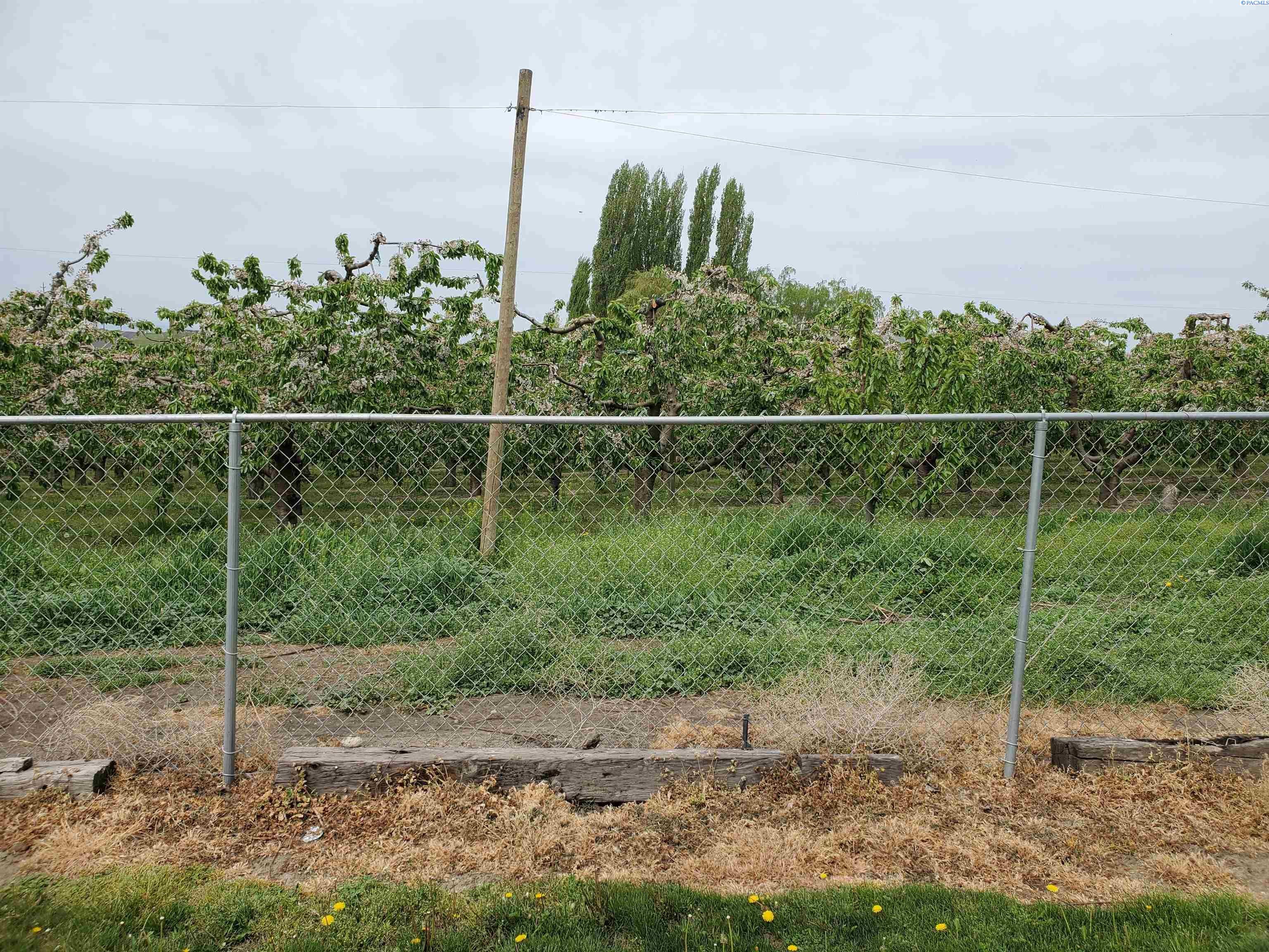 171702 Olsen Road Grandview, WA 98930 - Photo 32 of 32 Gallery Image 32