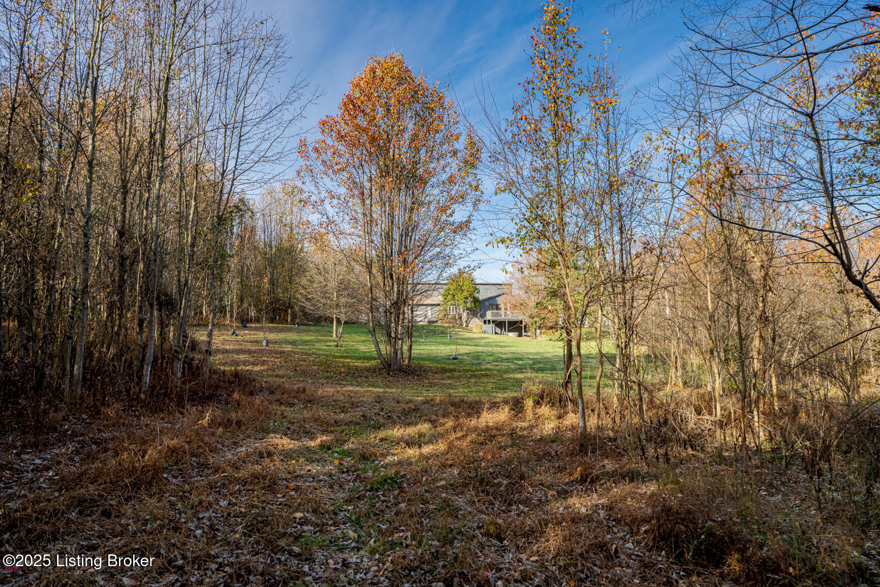 630 Webb Road Simpsonville, KY 40067 - Photo 47 of 63 DSC03404
