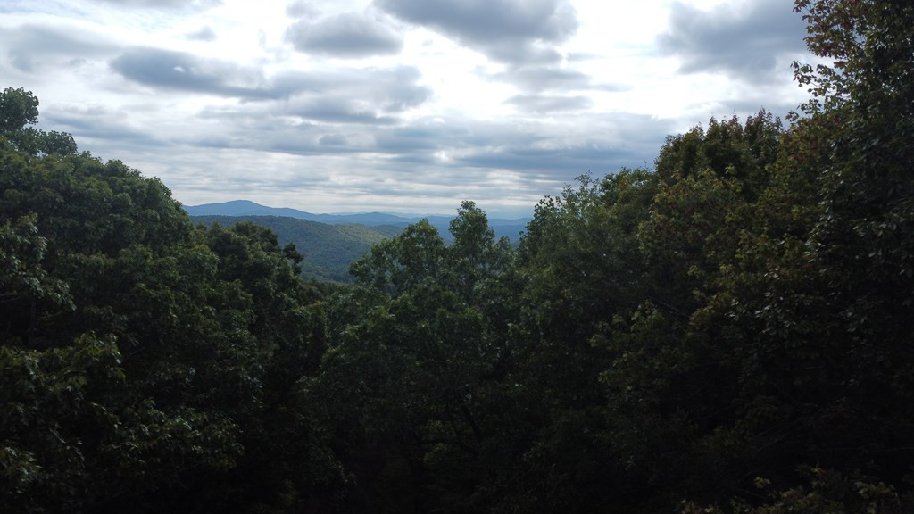 Tbd Burrell Mountain Road Murphy, NC 28906 - Photo 20 of 28